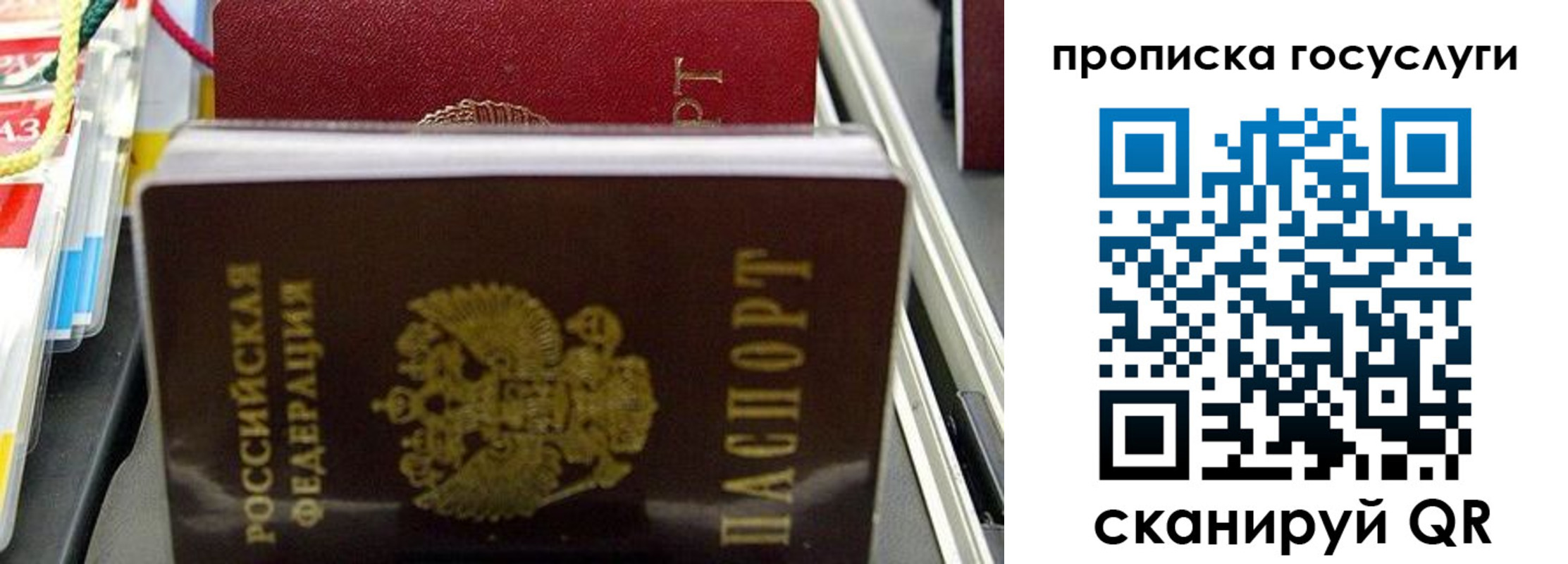 где прописаться в Сухом Логе
